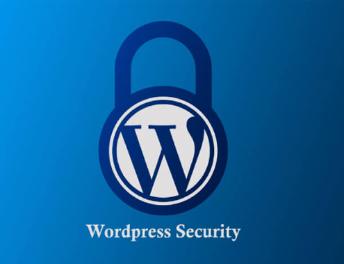 Basic Security Guide for your Wordpress Blog or Website