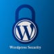 Basic Security Guide for your Wordpress Blog or Website